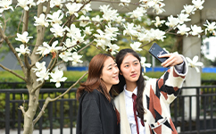 湖北大学知行学院 - 我的大学