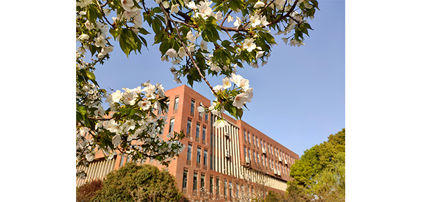 武汉城市学院 - 最美大学