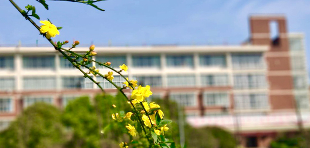 武汉城市学院 - 最美大学