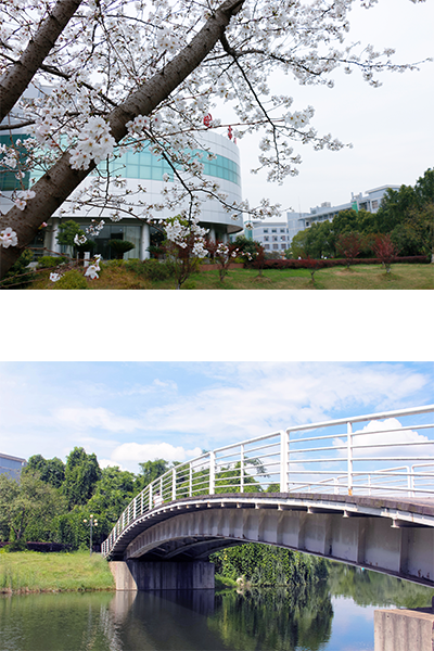 武汉工程大学