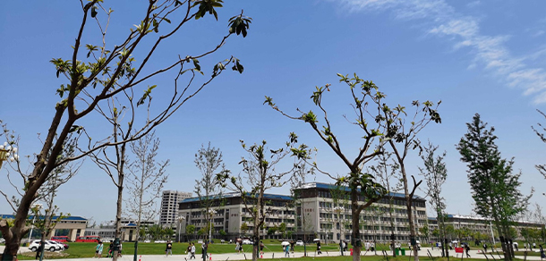 荆州学院 - 最美大学