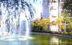 湖北汽车工业学院科技学院 - 我的大学