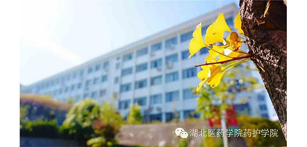 湖北医药学院药护学院 - 最美大学