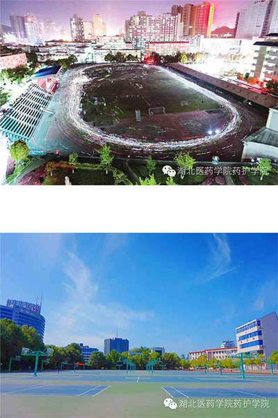 湖北医药学院药护学院