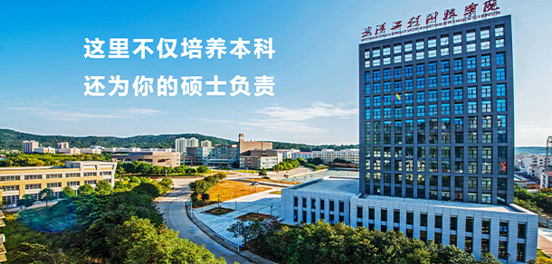 武汉工程科技学院
