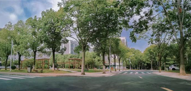 武汉传媒学院 - 最美大学