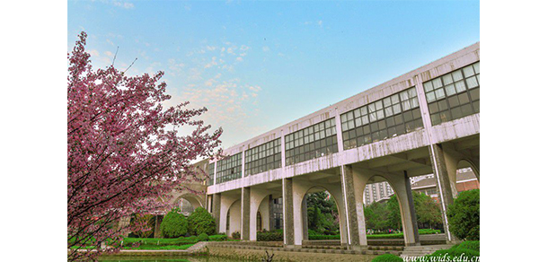 武汉设计工程学院 - 最美大学