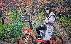 武汉职业技术大学 - 我的大学