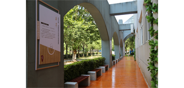 武汉信息传播职业技术学院 - 最美大学