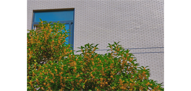 武汉信息传播职业技术学院 - 最美大学