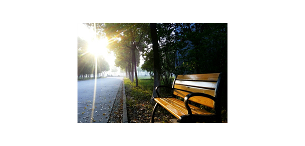 武汉信息传播职业技术学院 - 最美大学