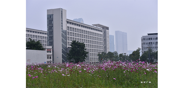 广东财经大学 - 最美大学