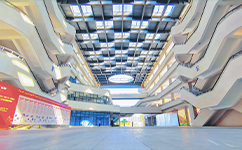 广东石油化工学院 - 我的大学