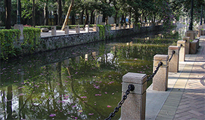 广东外语外贸大学