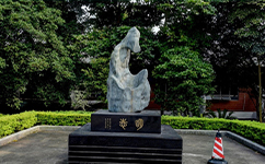2025年强基计划招生简章