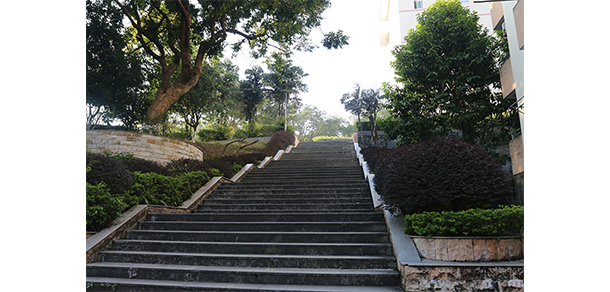 广州理工学院 - 最美大学