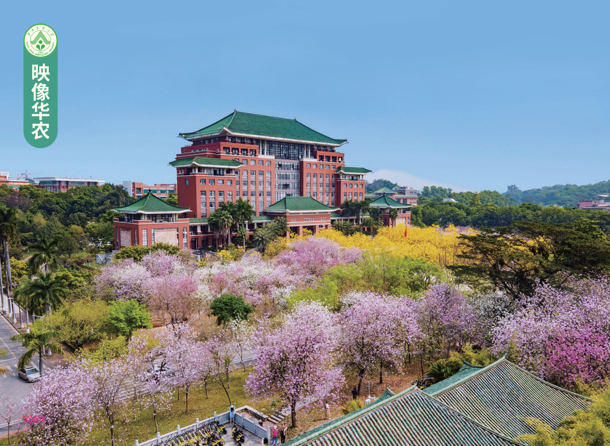 华南农业大学－2023年报考指南
