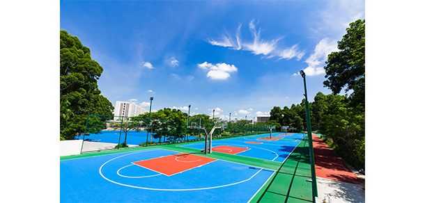 广州科技职业技术大学 - 最美大学