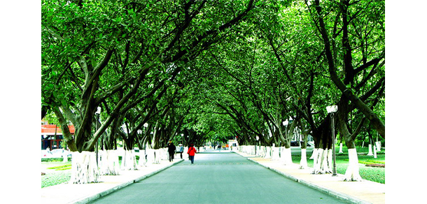 广东第二师范学院 - 最美院校
