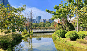 南方科技大学