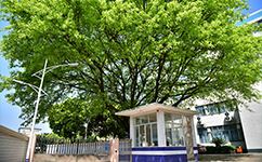 广东松山职业技术学院 - 我的大学