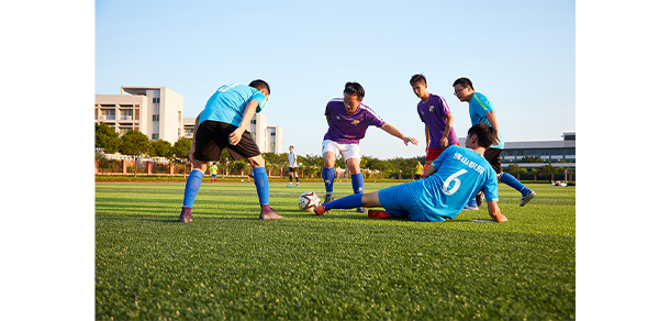 佛山职业技术学院 - 最美大学