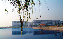 广东科学技术职业学院 - 我的大学