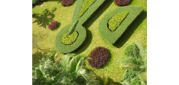 广东女子职业技术学院 - 最美大学