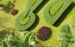 广东女子职业技术学院 - 我的大学