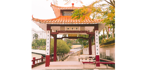 罗定职业技术学院 - 最美大学