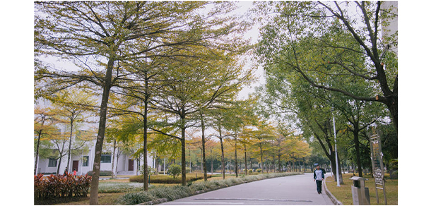 广东水利电力职业技术学院 - 最美大学