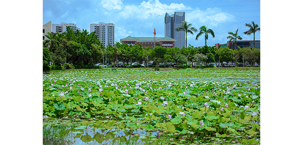 珠海城市职业技术学院 - 最美大学