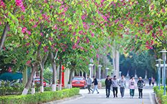 广州南洋理工职业学院 - 我的大学