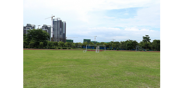 中山职业技术学院 - 最美大学