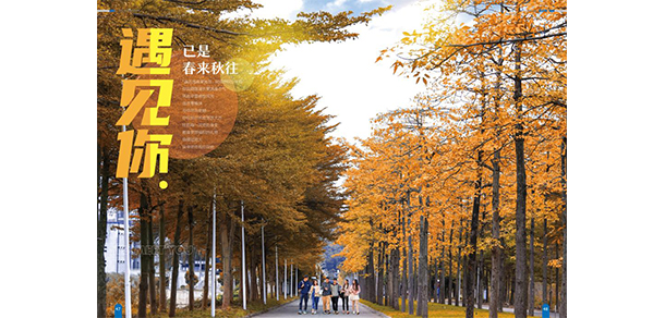 广东南华工商职业学院 - 最美大学