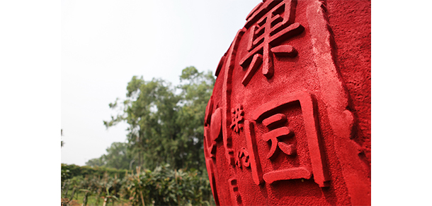 广东舞蹈戏剧职业学院 - 最美大学