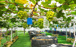 广东生态工程职业学院 - 我的大学