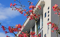 惠州城市职业学院 - 我的大学