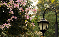 广东财贸职业学院 - 我的大学