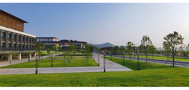 广东云浮中医药职业学院 - 最美大学