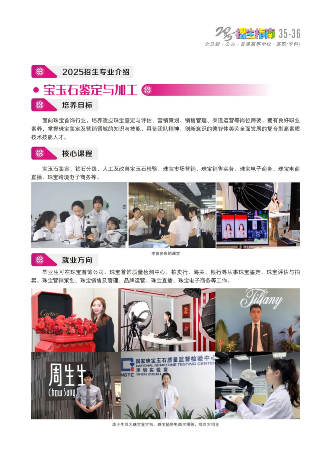 宝玉石鉴定与加工