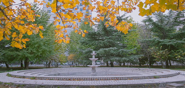 北京工商大学 - 最美大学