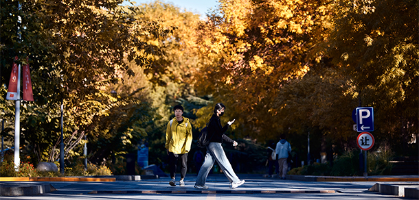 北京工商大学 - 最美大学