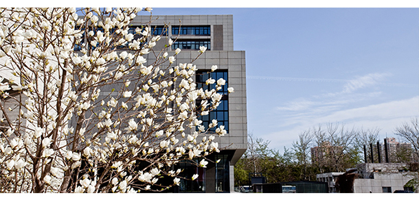 北京服装学院 - 最美大学