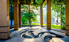 北京邮电大学 - 我的大学