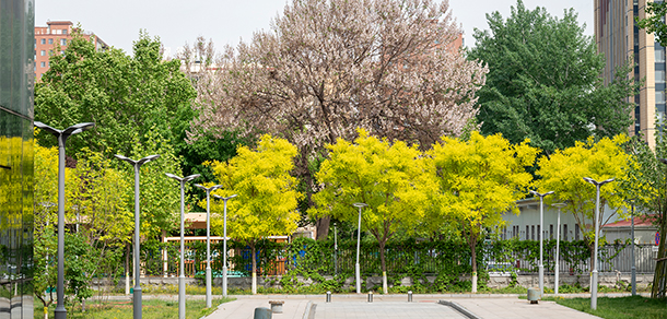 北京石油化工学院 - 最美大学