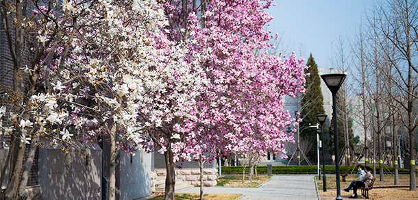 北京石油化工学院 - 最美大学