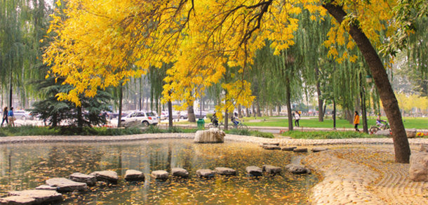 中国人民大学 - 最美大学