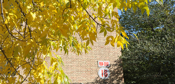 中国人民大学 - 最美大学