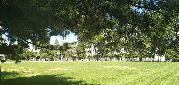 中国人民大学 - 最美大学